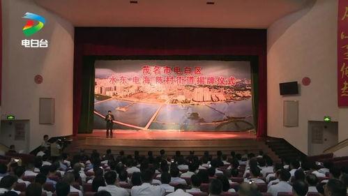 电白陈村新闻最新爆料,揭秘陈村最新发展动态与重大事件